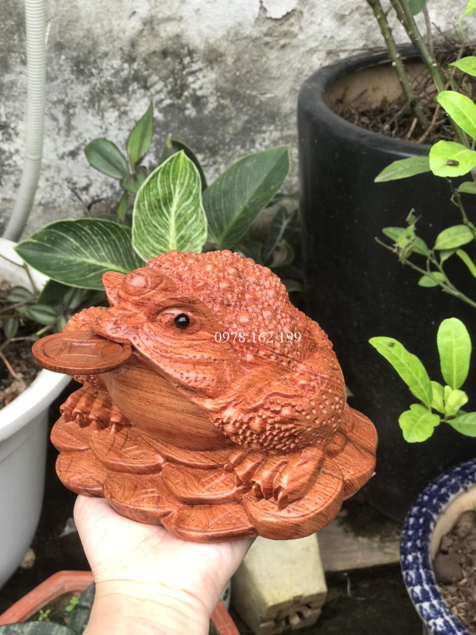 Cóc Thiềm Thừ Gỗ Hương MS01
