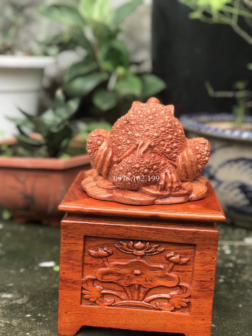 Cóc Thiềm Thừ Gỗ Hương MS01 - Ảnh 5