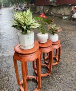 Đôn tròn gỗ hương cao cấp MS60