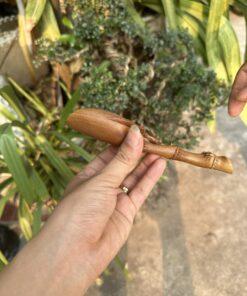 Thìa đong trà gỗ bách xanh