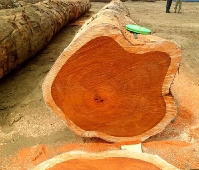 Nhận biết gỗ hương